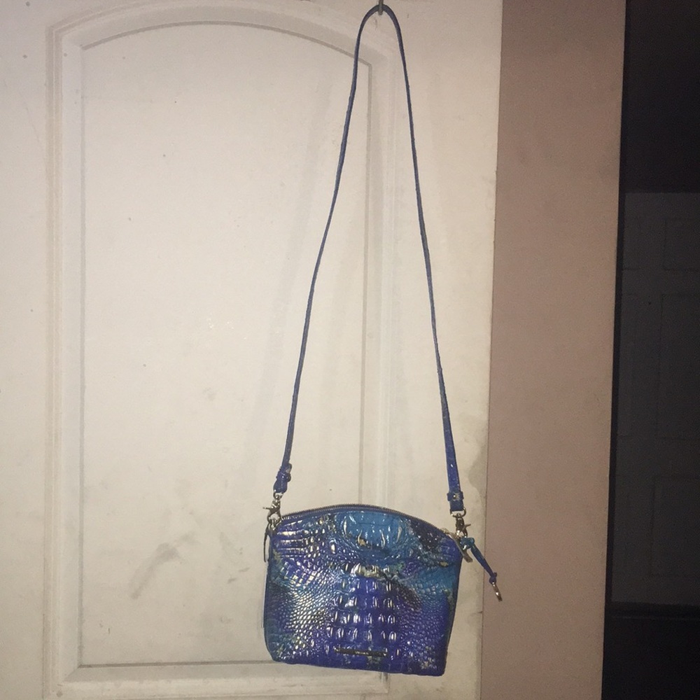 Brahmin - Picture 2 of 7